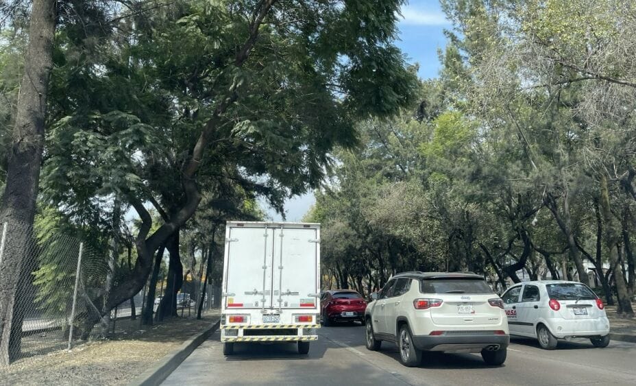 Tenencia 2024 CDMX