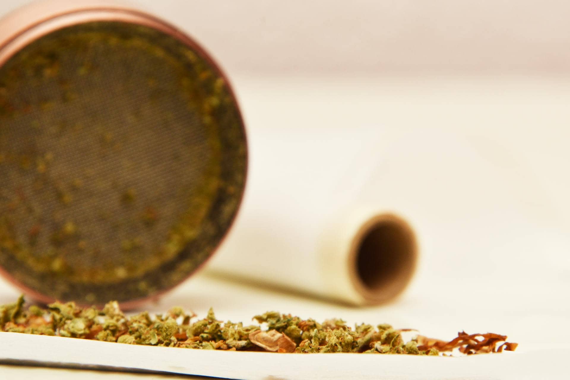MARIHUANA LEGAL ESTUDIO 6