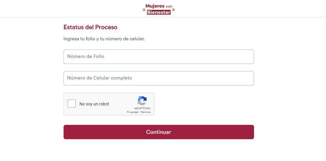 Estatus mujeres con bienestar 2024 resultados
