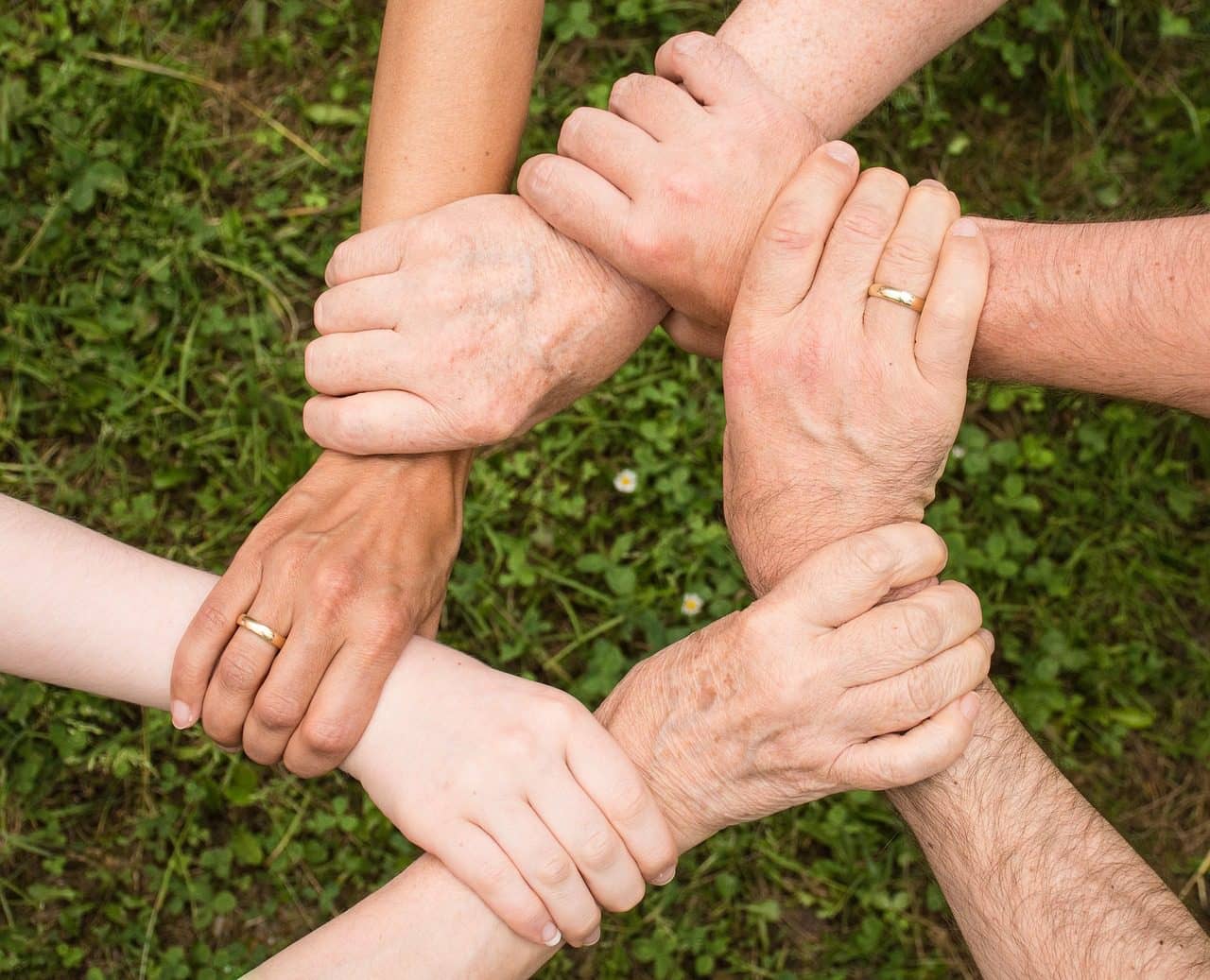 La solidaridad y la cooperación como ingredientes básicos para la construcción de la vida comunitaria es casi imposible de estimular, explica el Premio Príncipe de Asturias 2018 en Ciencias Sociales. Foto: Pixabay.