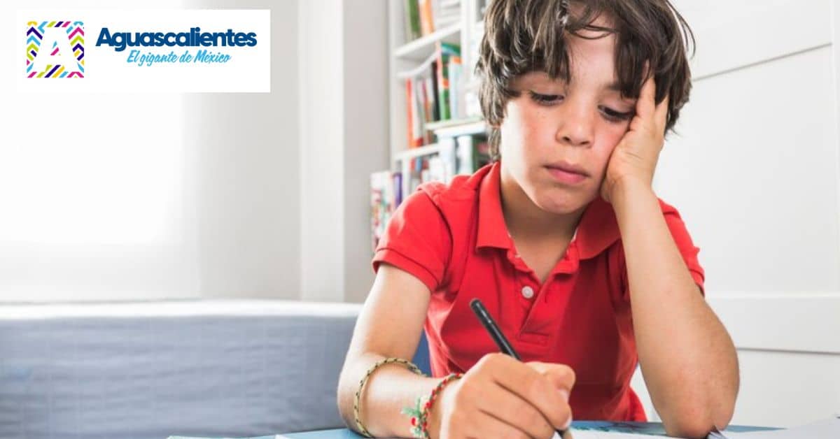 consultar-resultados-iea-becas-excelencia-educativa-2024