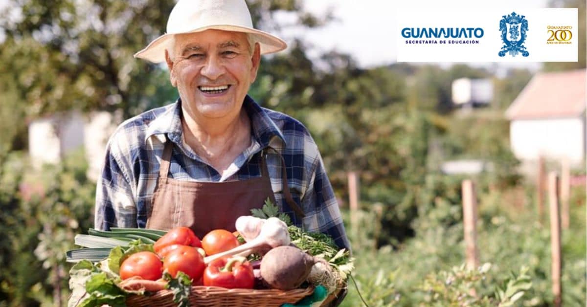 apoyos-guanajuato-para-el-campo-2024