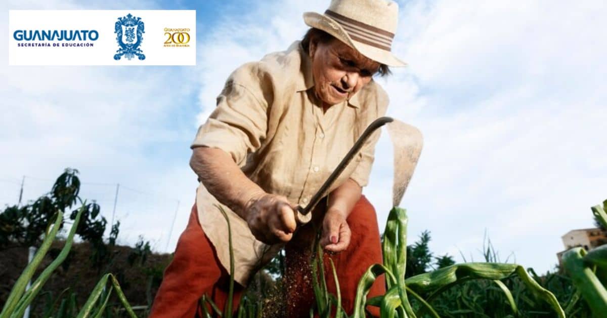 apoyos-guanajuato-para-el-campo-2024