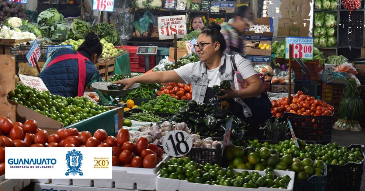 apoyo-para-negocios-guanajuato-mi-plaza