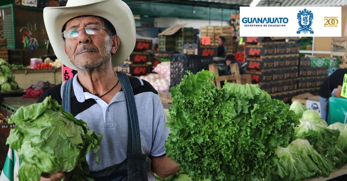 apoyo-para-negocios-guanajuato-mi-plaza