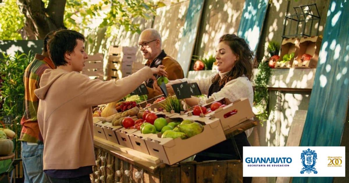guanajuato-comercializacion-innovadora