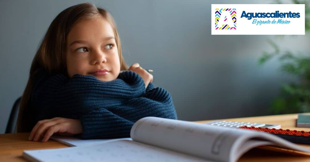 registro-becas-excelencia-educativa-aguascalientes-2024