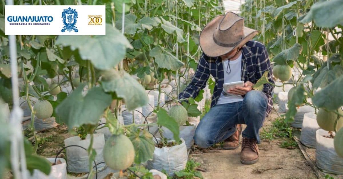 apoyo-guanajuato-mi-familia-productiva-y-sustentable