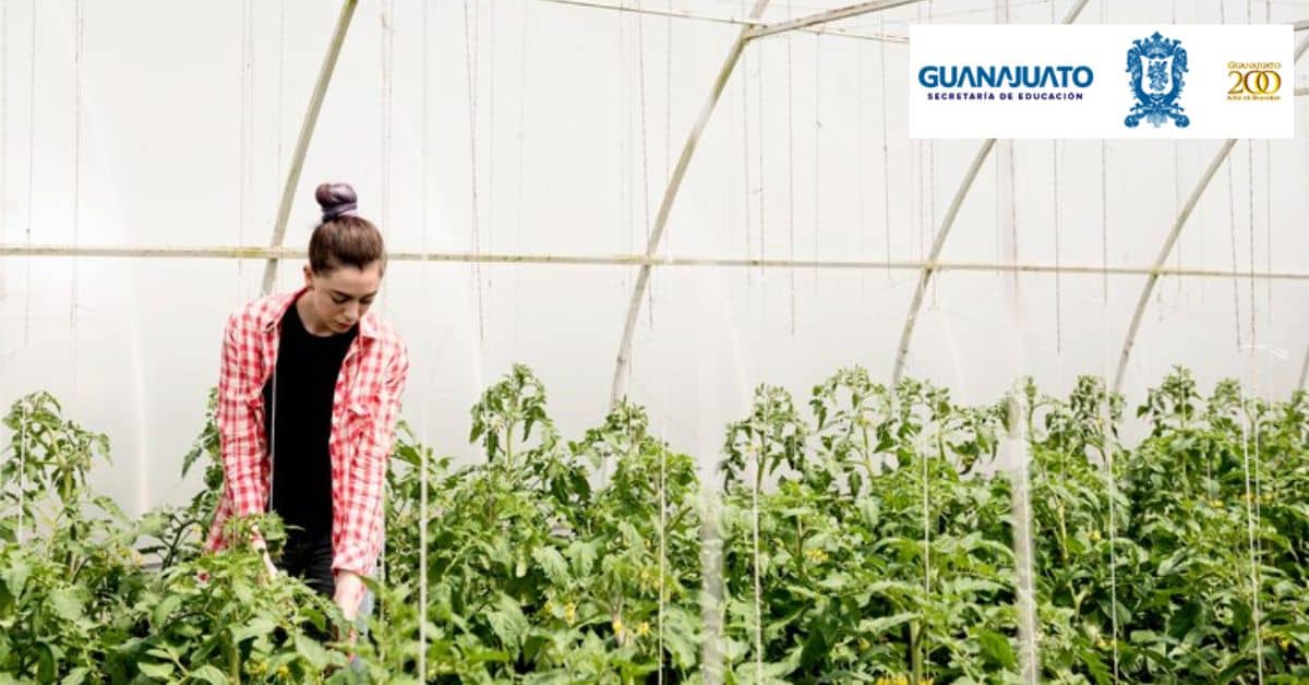 guanajuato-apoyo-mi-riego-productivo