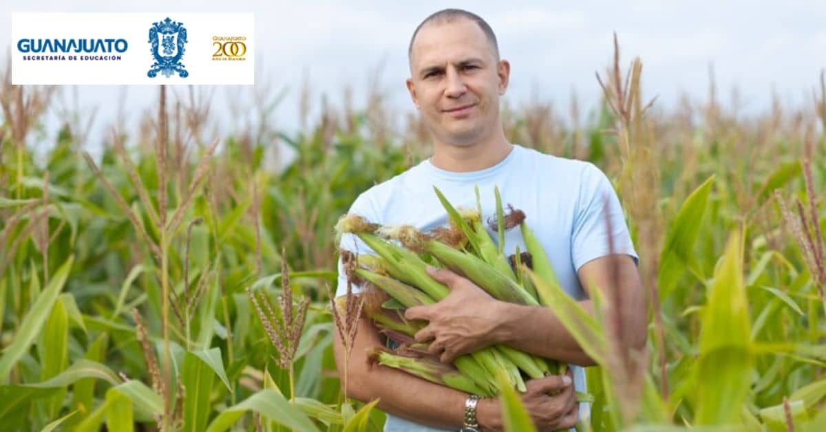 apoyo-guanajuato-para-productores-de-maiz