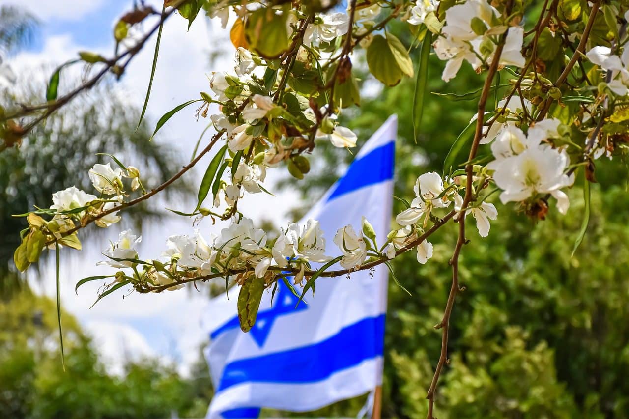 Si los antisionistas declaran que cada israelí no es más que un portavoz del poder, no habrá nadie con quien hacer las paces en el futuro. Foto: Pixabay.