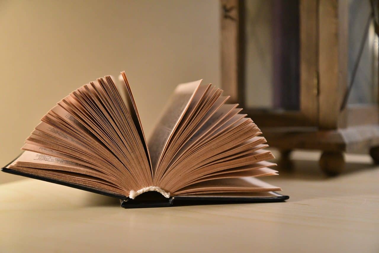 La trama de la novela Demasiados héroes versa en torno a esos dos personajes protagónicos que conversan todo el tiempo sobre el mismo tema: la ausencia del padre y los motivos por los que se volvió un desconocido para el hijo. Foto: Pixabay.