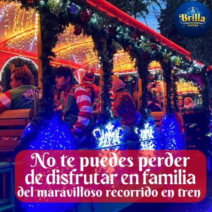 brilla-una-navidad-en-el-bosque-parque-naucalli