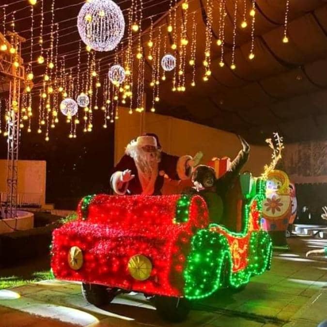 brilla-una-navidad-en-el-bosque-parque-naucalli