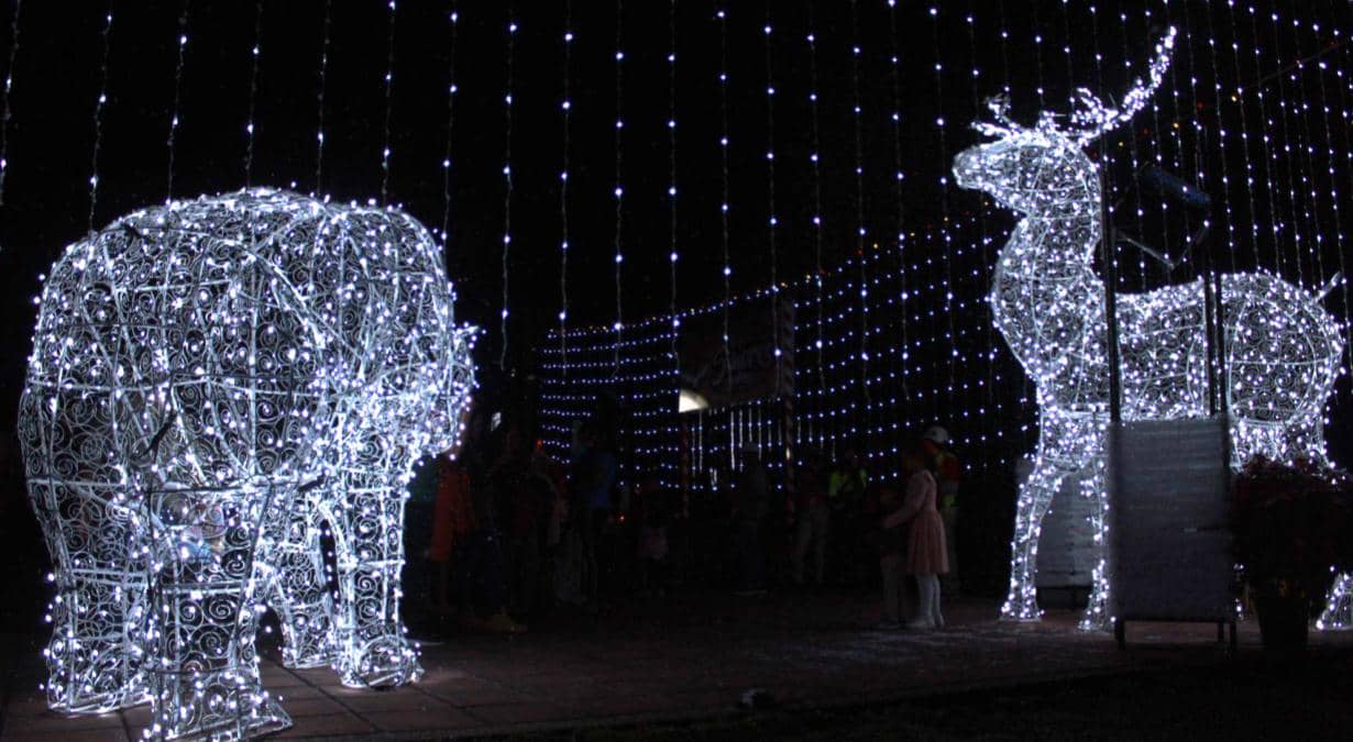 Christmas-in-the Park-Hurricane-Harbor-Oaxtepec-2022