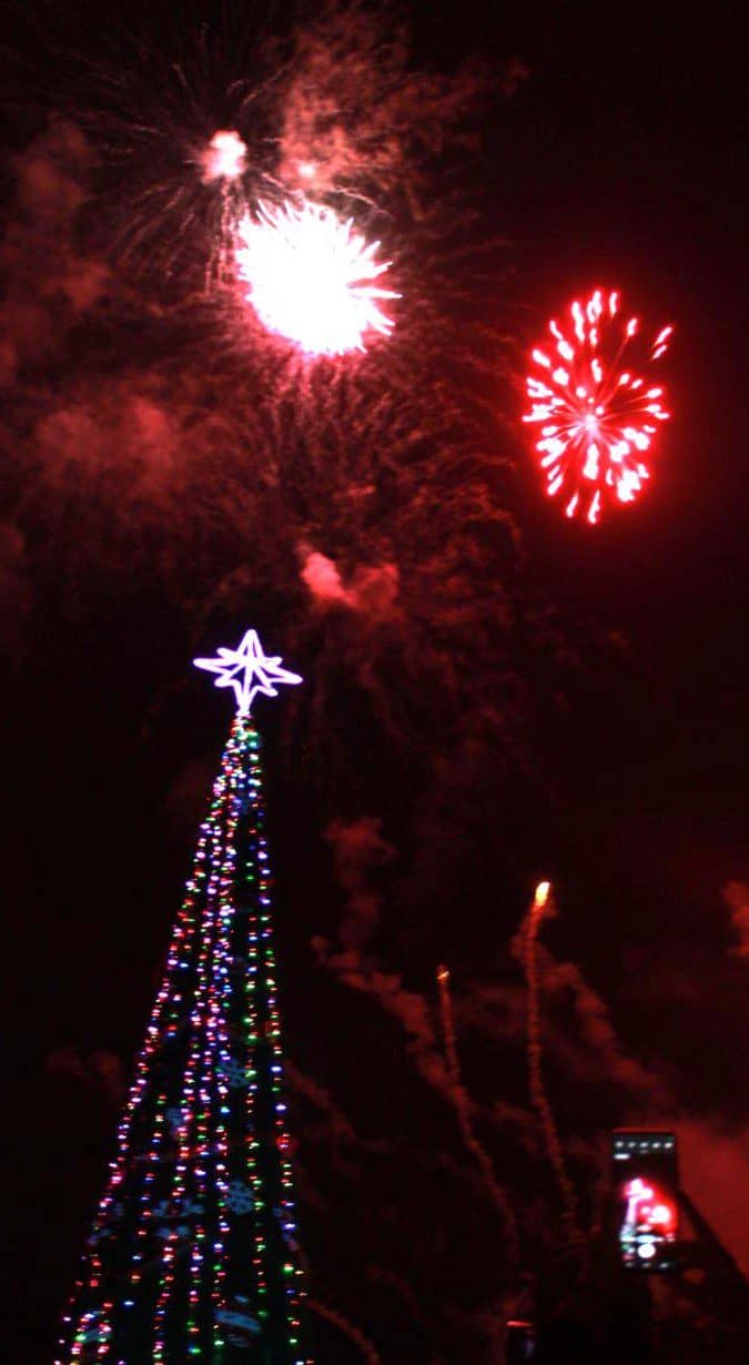 Christmas-in-the Park-encendido-árbol