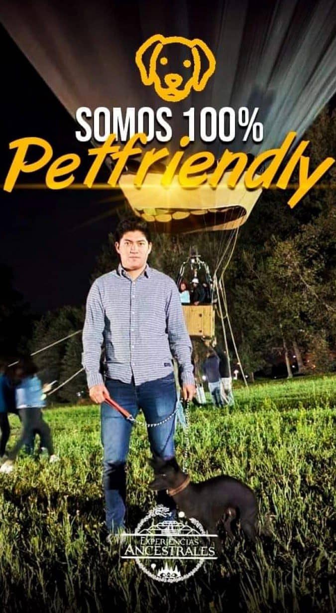 cine-camping-festival-teotihuacan-petfriendly
