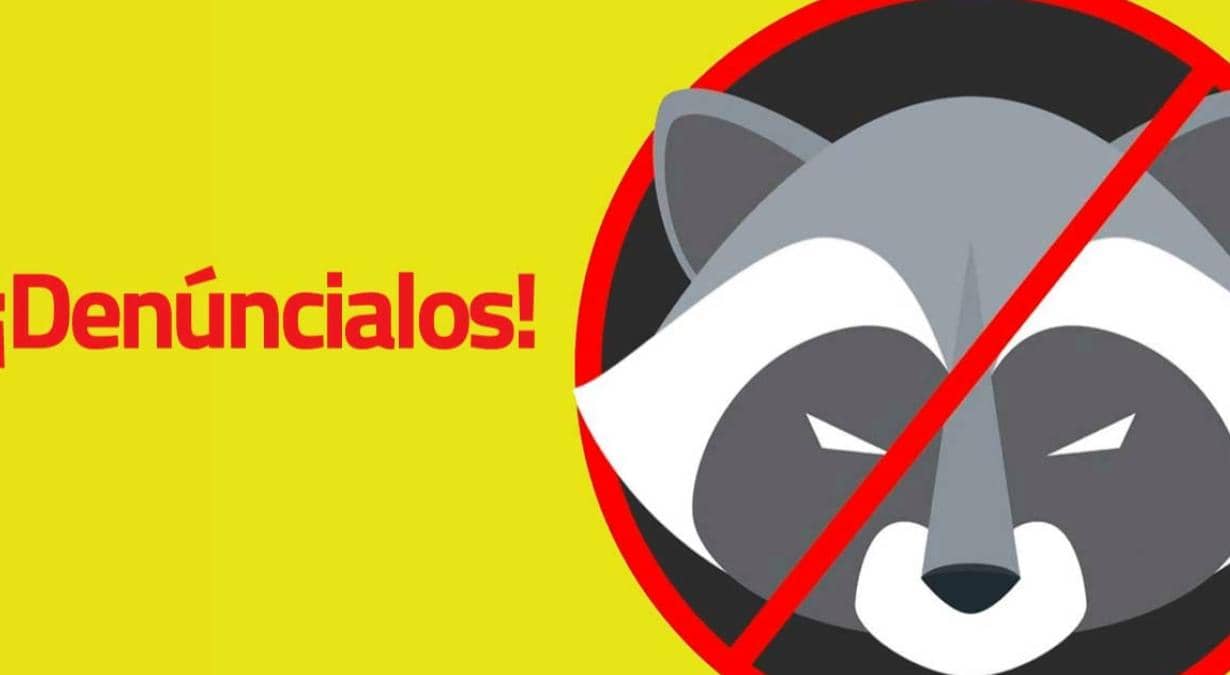 Mapaches-electorales-cómo-denunciar-INE