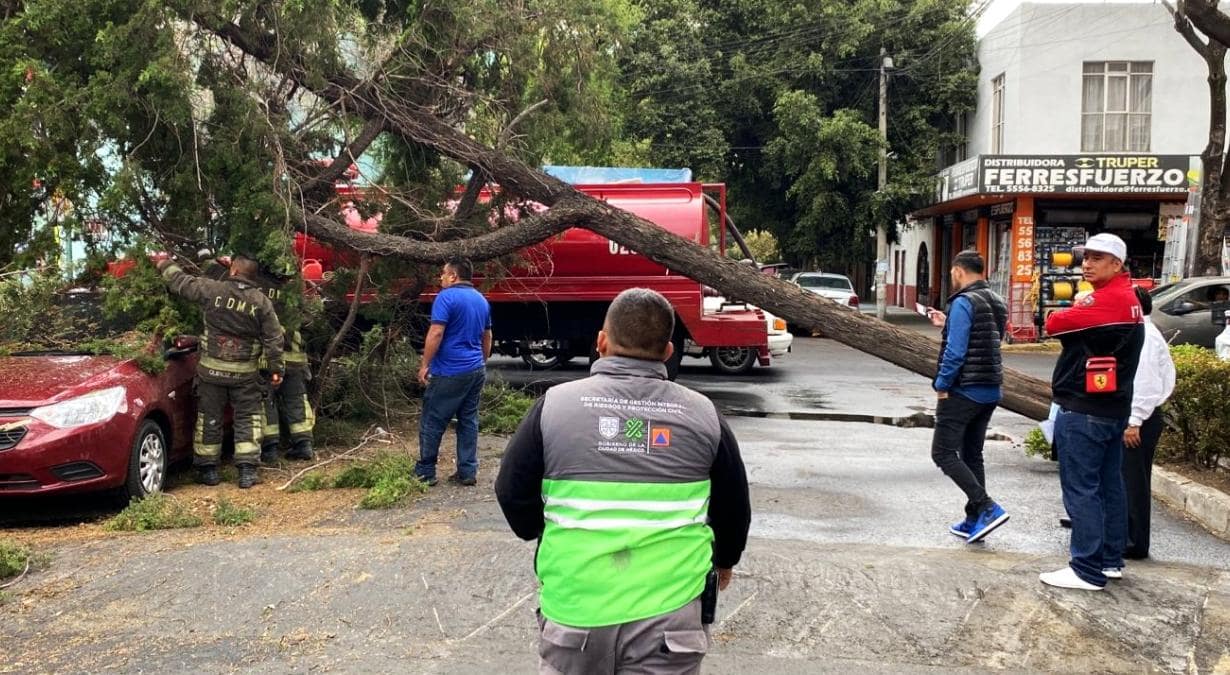 Reporte-caída-de-árboles-CDMX