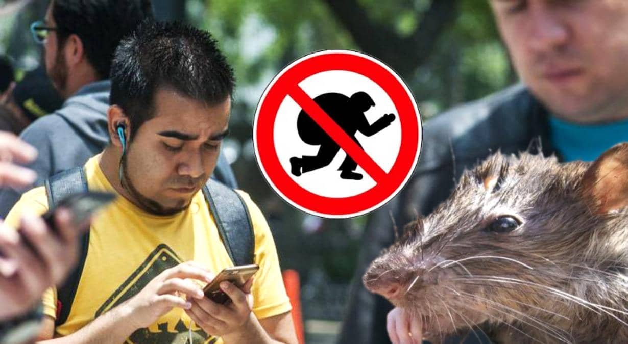 robo-celular-se-esta-pagando