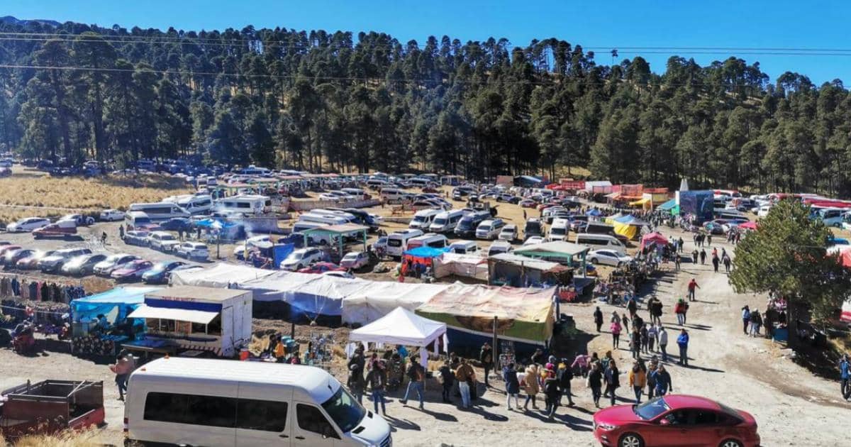 Parque-Venados-Nevado-de-Toluca