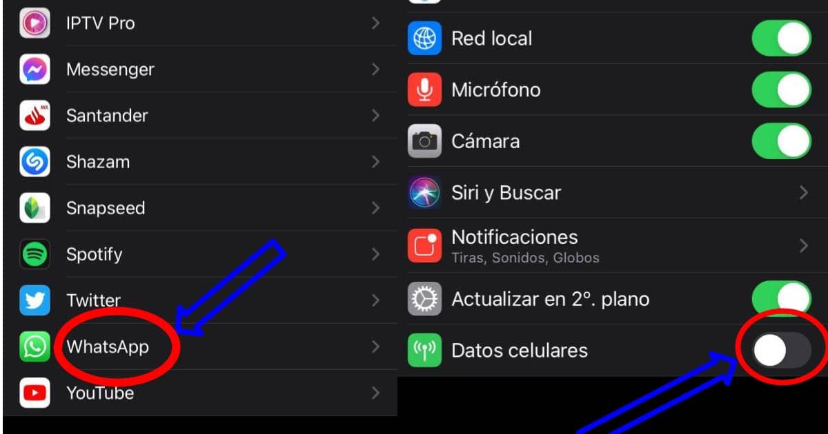 como-desconectarse-de-whatsapp-sin-dejar-de-usar-internet-en-tu-celular-iPhone