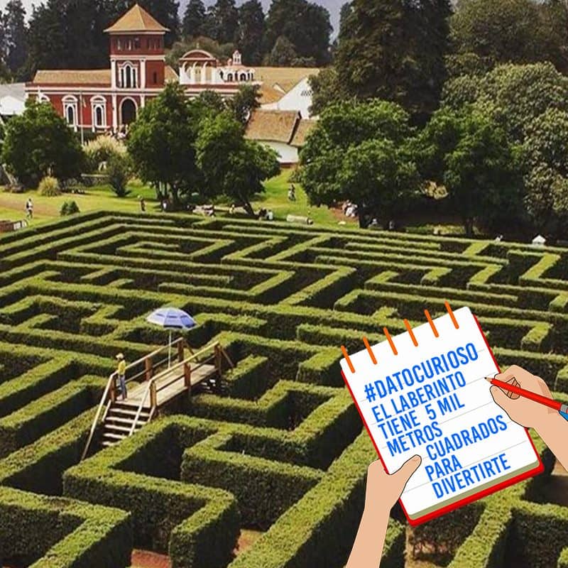 Hay distintas actividades que puedes realizar | Foto: Facebook Hacienda Panoaya