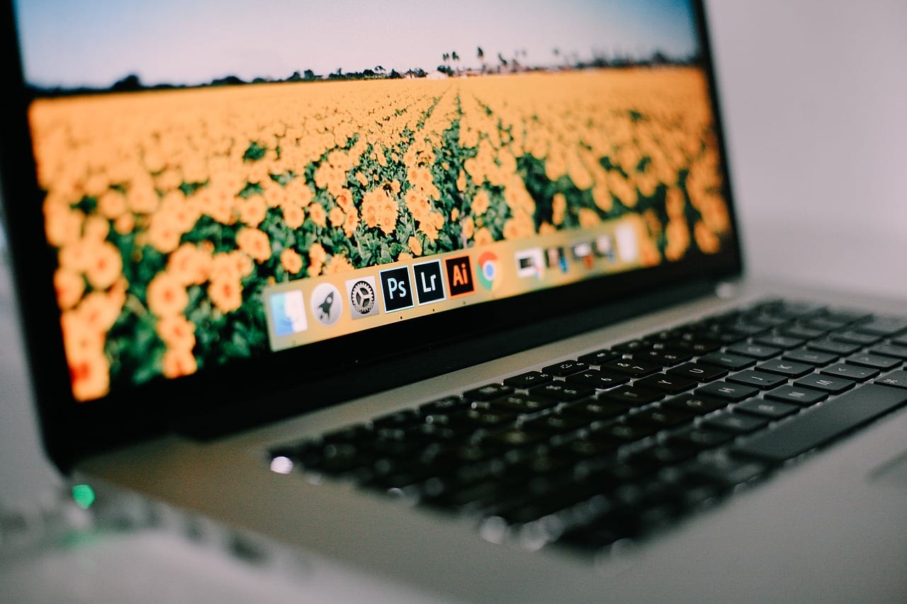 Si eres estudiante, aprovecha todos estos beneficios de Adobe I Foto: Pixabay