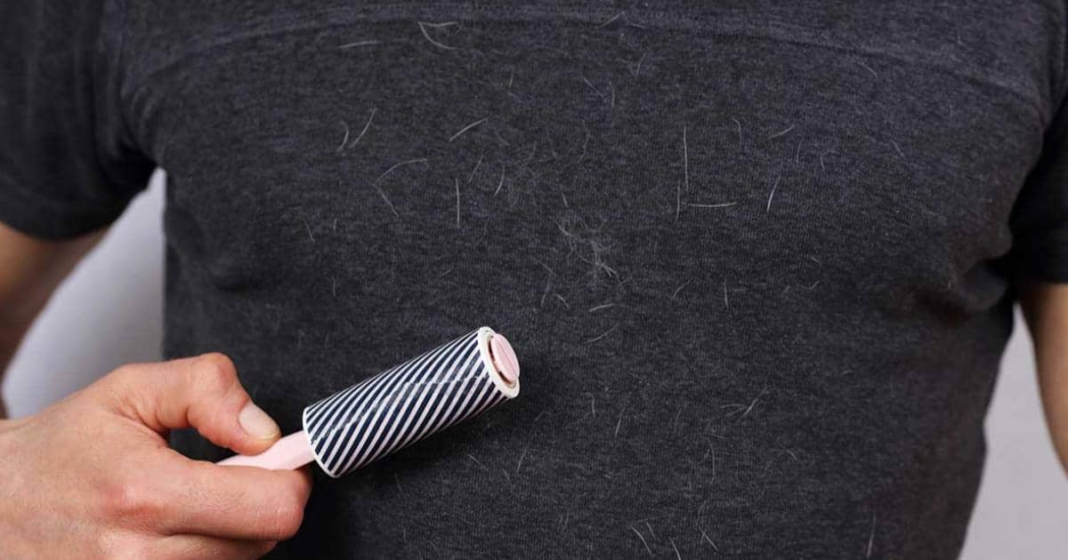 Cómo-quitar-pelos-de-gato-y-de-perro-de-la-ropa-2