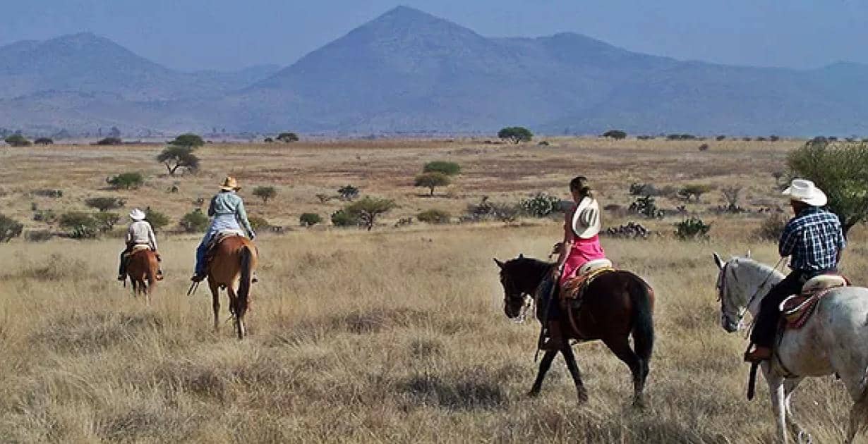 Montar-a-caballo