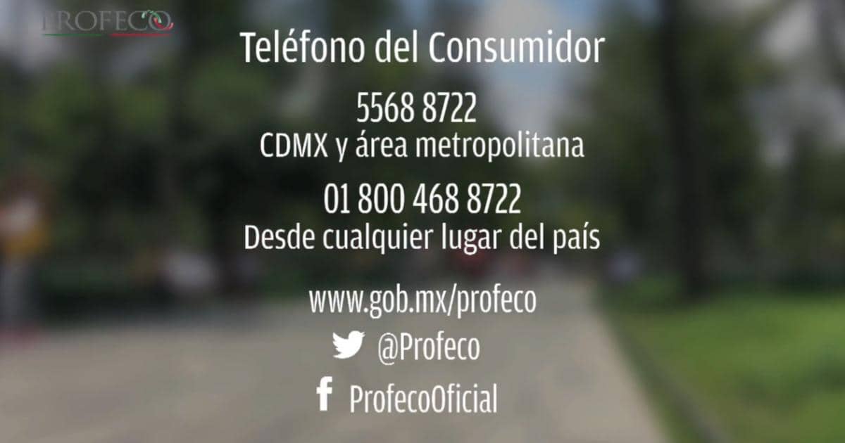 Teléfono-del-Conusmidor-Profeco