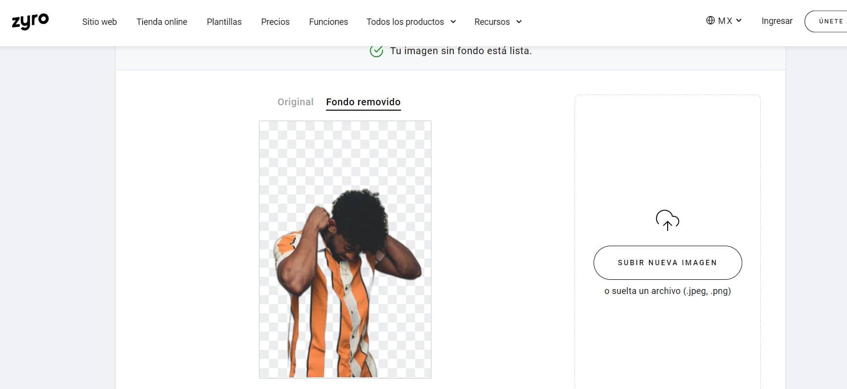 borrar el fondo de una foto 2021 zyro