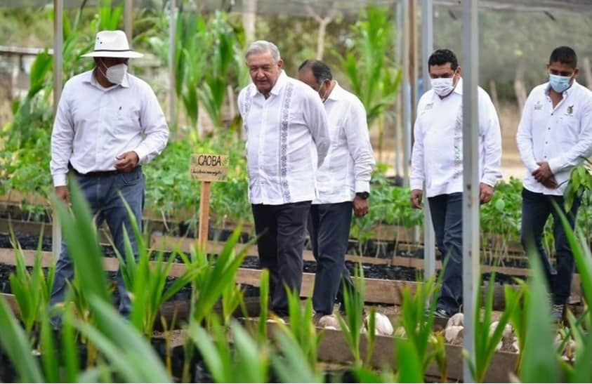 De desempleados a empresarios. El despegue de los hijos de AMLO 3