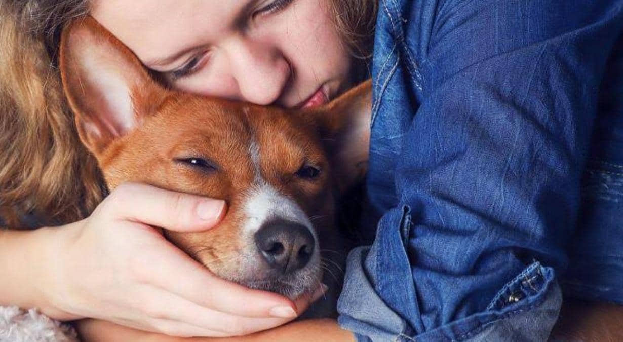 Eutanasia-en-animales-Mantener-con-vida-a-tu-mascota-no-es-amable