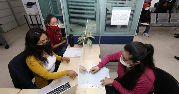 La solicitud también puedes iniciarla en línea | Foto: Gobierno de México