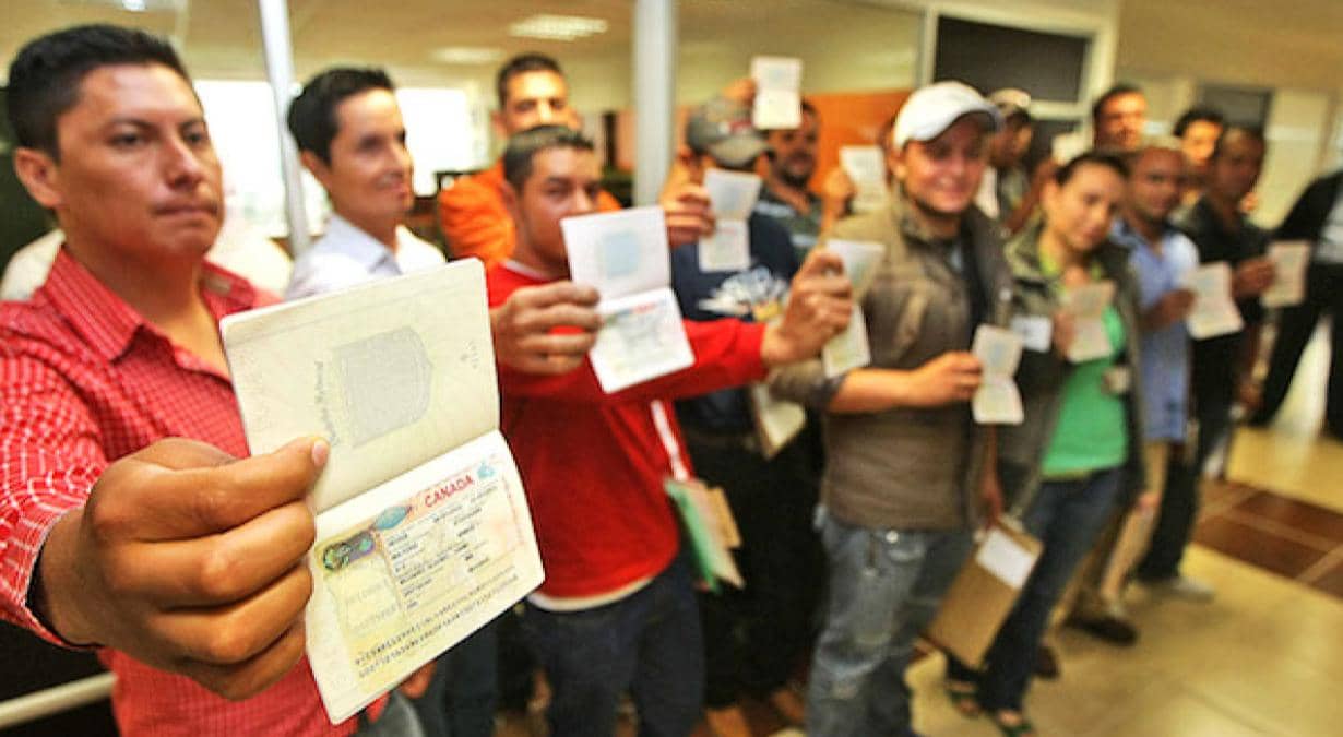 Canadá-ofrece-empleo-sueldos-51-mil-pesos-al-mes