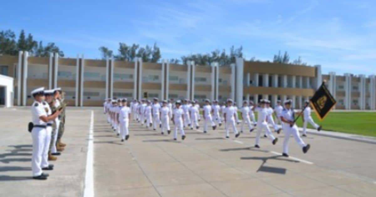 licenciatura