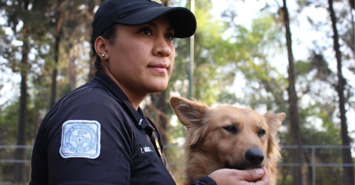 donde reportar a un perro agresivo