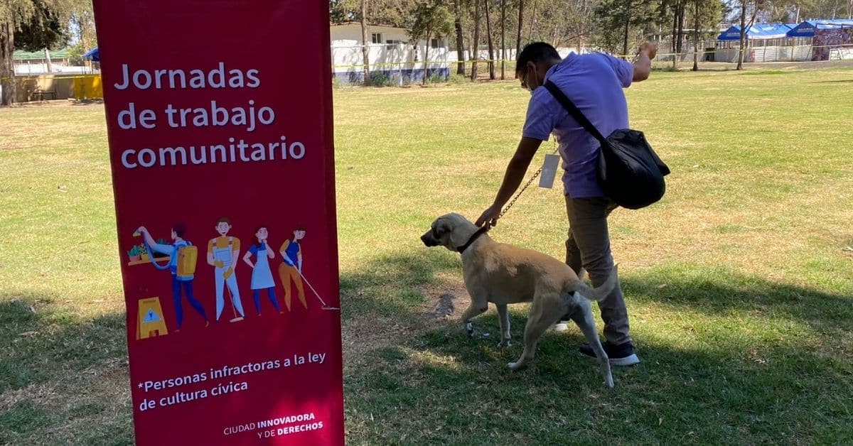 Fotocívicas