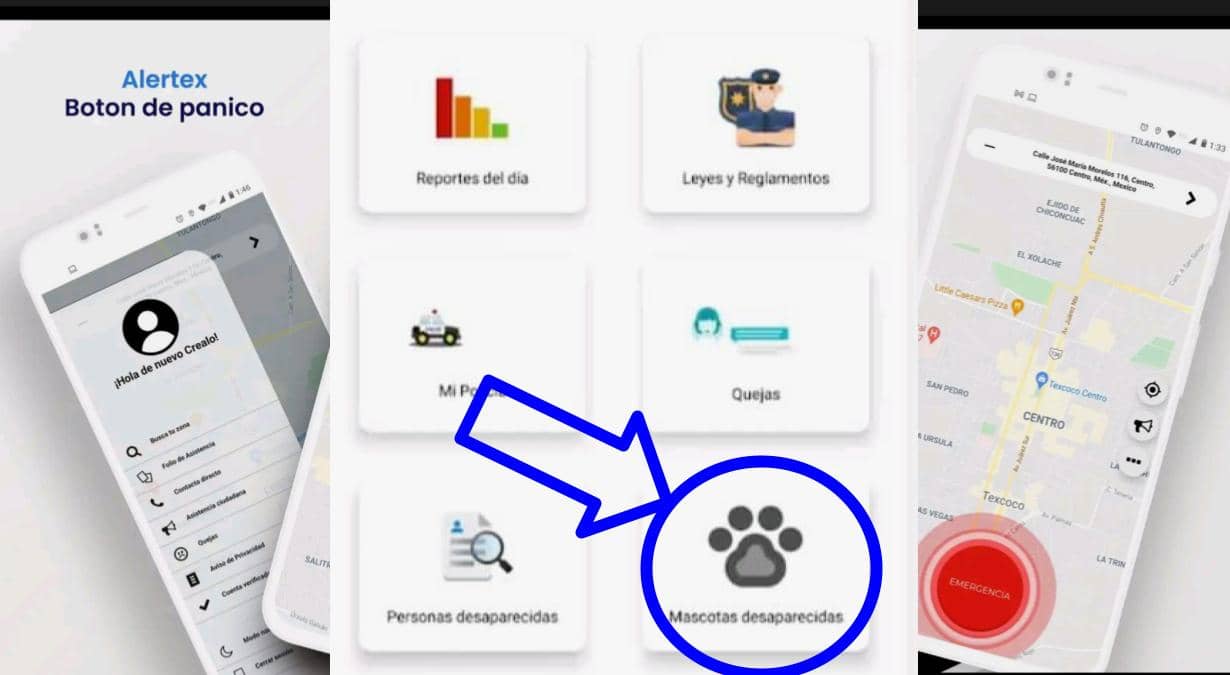 Alertex-app-buscar-mascotas-desaparecidas-Texcoco