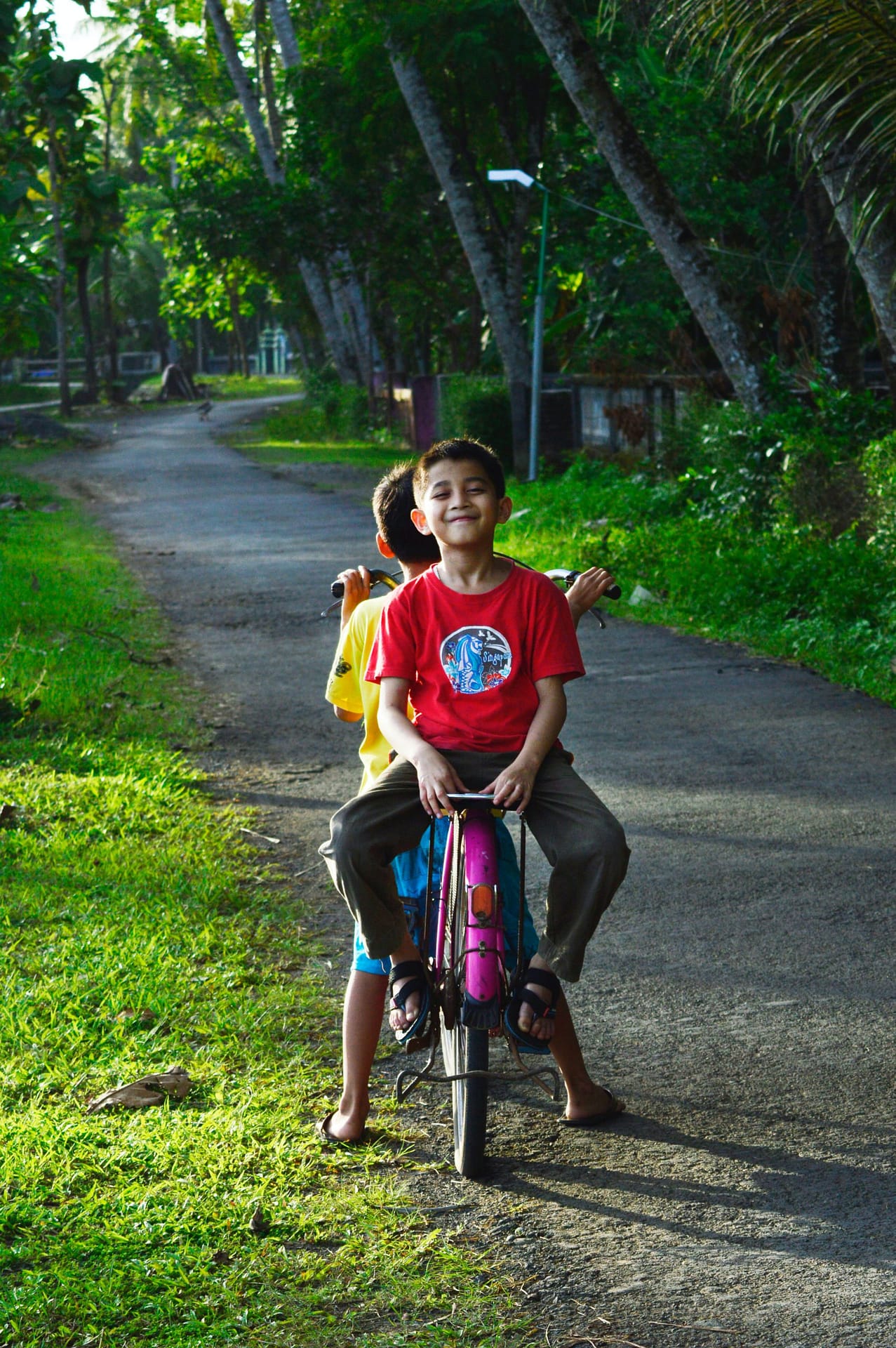 Estas son las opciones para aprender a andar en bici Foto: Pexels