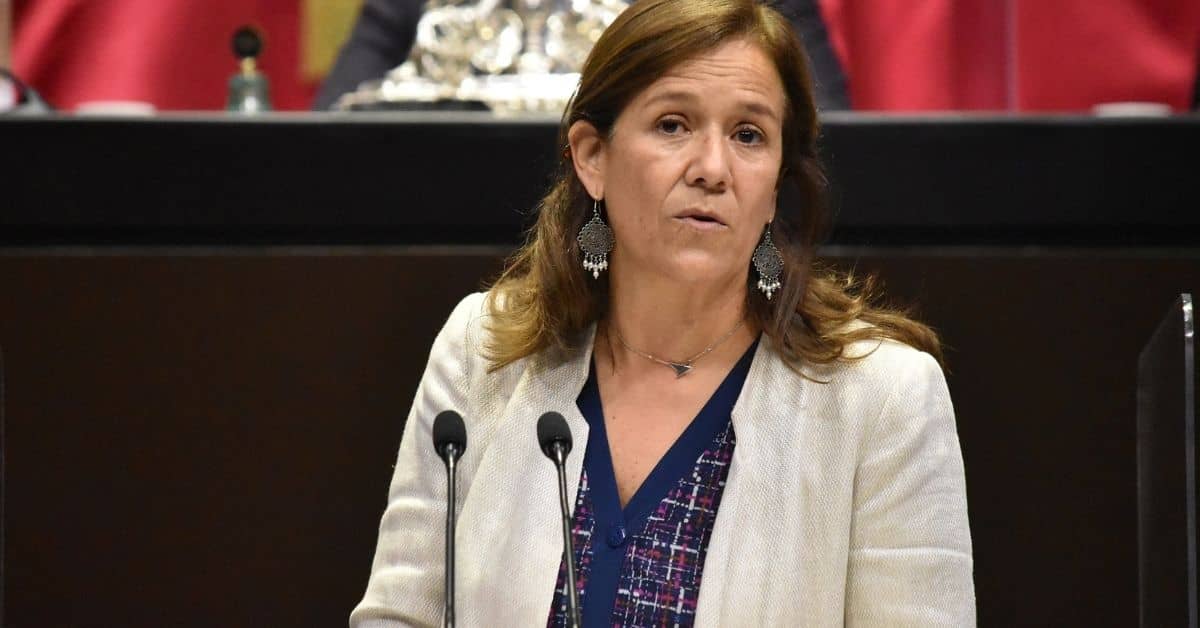 cámara de diputados