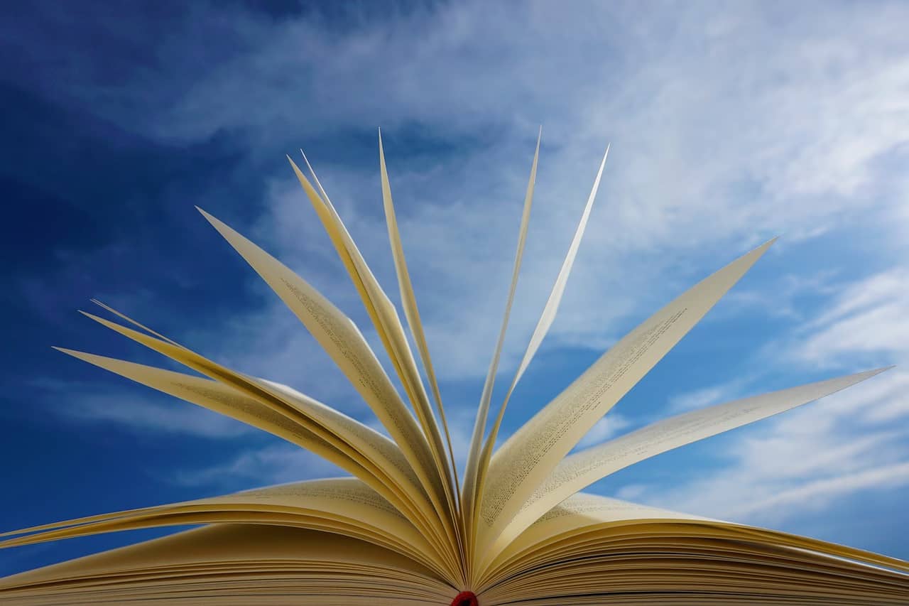 El público literario internacional descubrió a Han Kang gracias a la traducción de su segunda novela La vegetariana a una treintena de idiomas, entre los más importantes el inglés, el francés, el italiano, el alemán y el sueco. Foto: Pixabay.