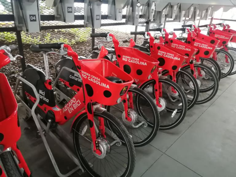 bici catarinas azcapotzalco bicics gratis registro bicitekas 2