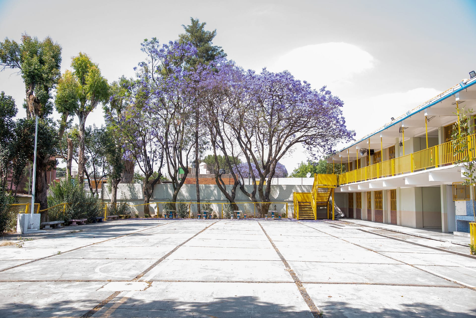 escuela de lluvia azcapotzalco vidal llerenas morales grupo bimbo-07