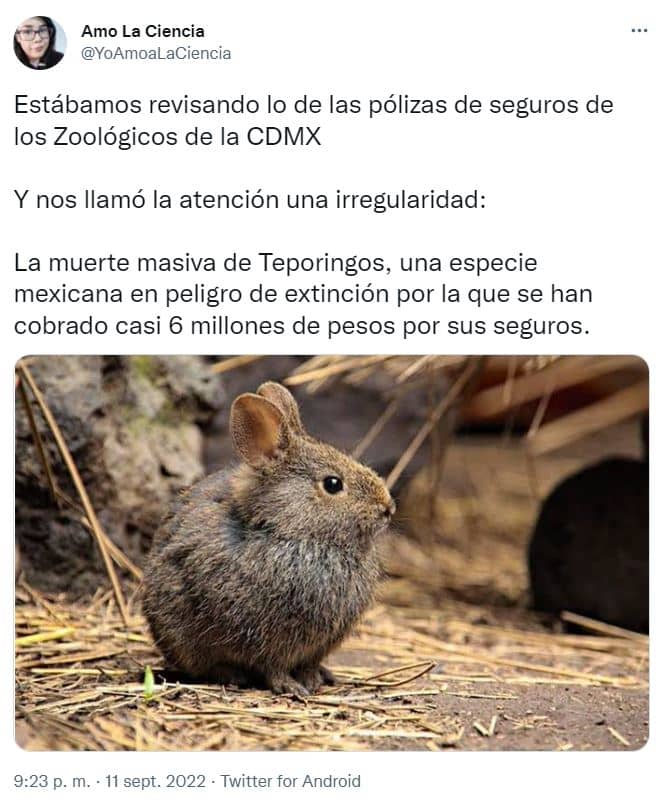 teporingo muerte masiva cdmx sedema extincion 2