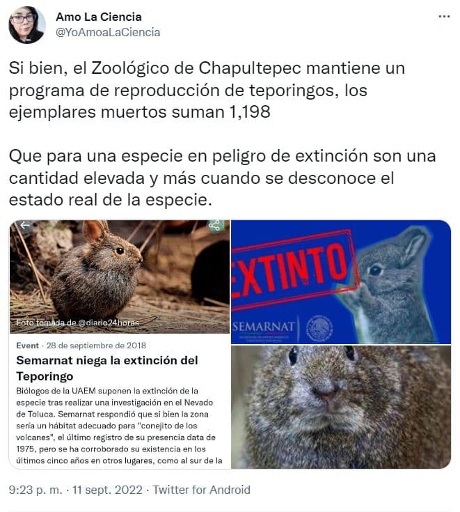 teporingos muerte masiva cdmx sedema extincion 3