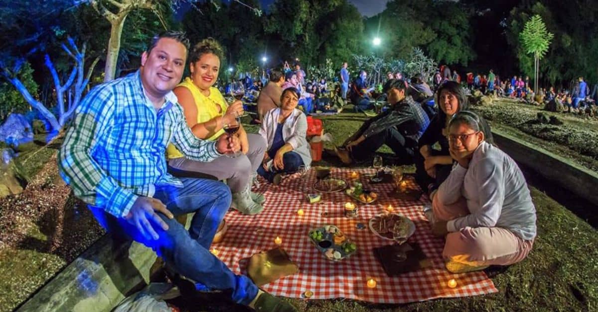 Picnic